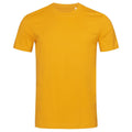 Indisches Gelb - Front - Stedman Herren James Organisches T-Shirt