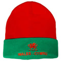 Rot-Grün - Front - Wales Cymru - Mütze