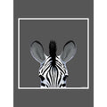 Grau - Back - Inquisitive Creatures Tragetasche mit Zebra-Motiv