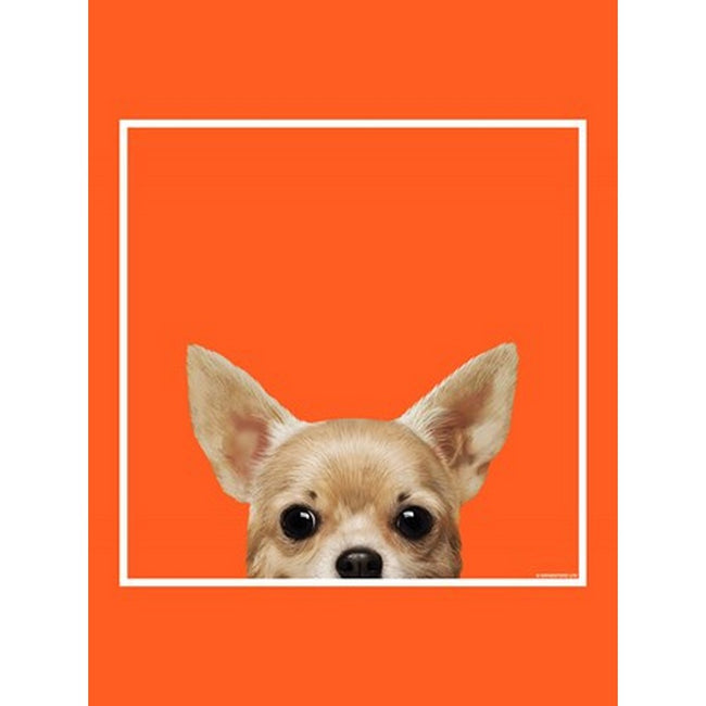 Orange - Side - Inquisitive Creatures Tragetasche mit Chihuahua-Motiv