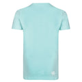 Hellblau mit Berg - Side - Dare 2B Kinder T-Shirt Frenzy mit Grafikdruck