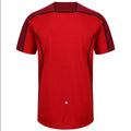 Rot-Dunkelrot - Back - Regatta Herren T-Shirt Tornell, mit extrem weicher Merinowolle