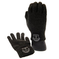 Grau - Front - Everton FC Kinder Luxus Touchscreen Handschuhe