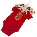 Rot-Weiß - Lifestyle - British & Irish Lions - Bodysuit für Baby (2er-Pack)